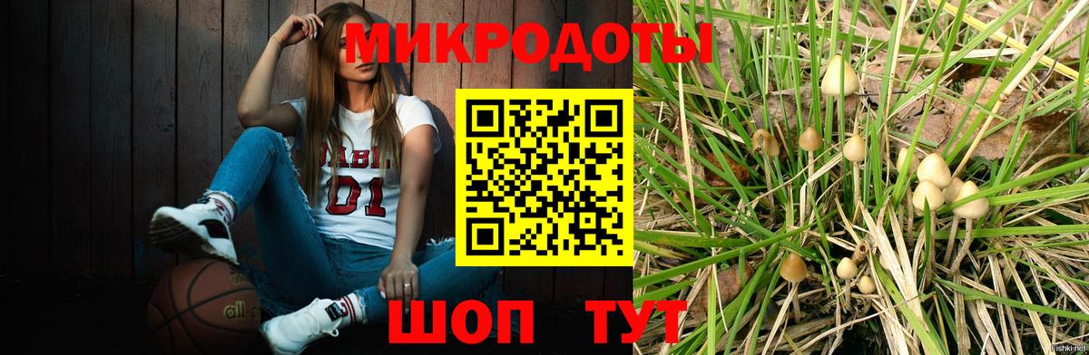 Тольятти  Галлюциногенные грибы прущие грибы  Галлюциногенные грибы мицелий  Вход с VPN 