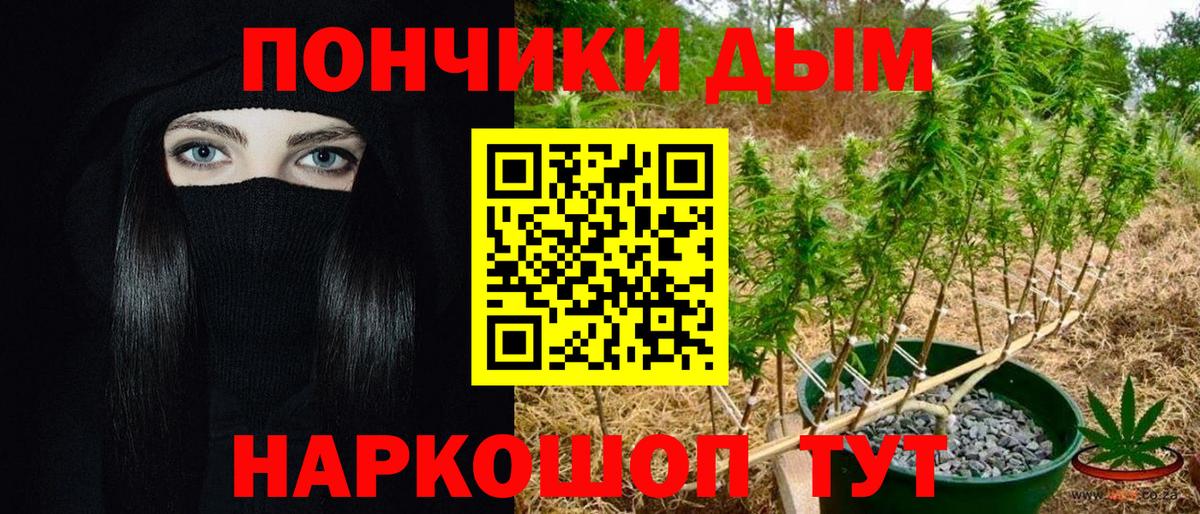Шишки марихуана Bruce Banner Тольятти